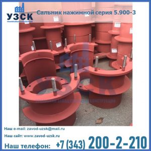 Сальники нажимные серия 5.900-3 в Тюмени